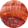 Organic Reishi